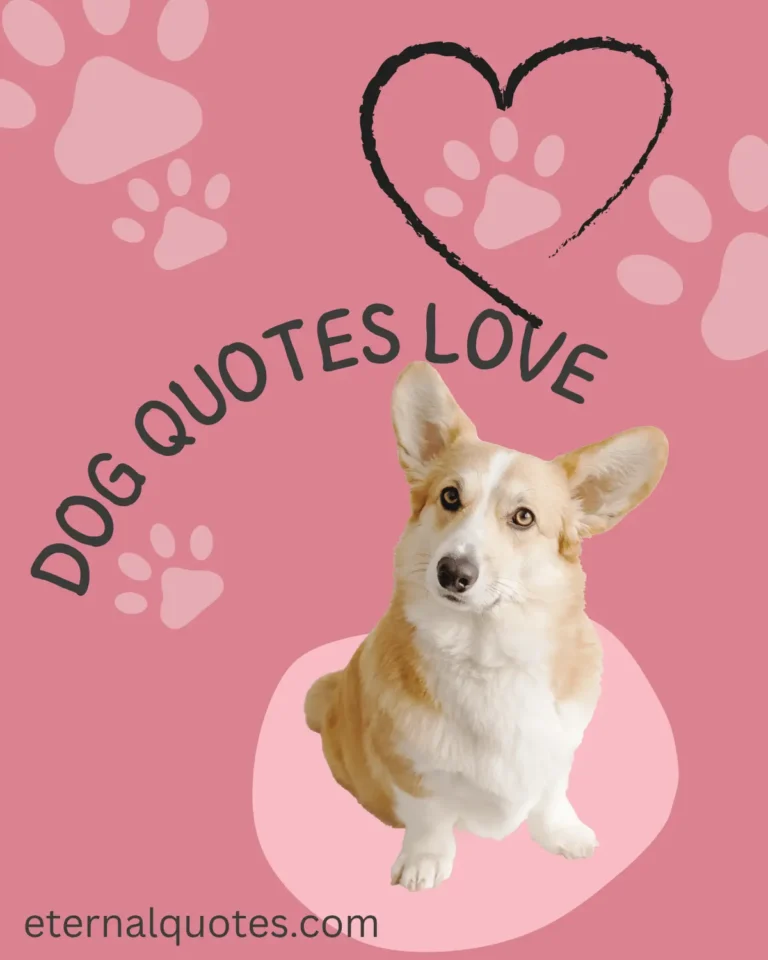 Dog quotes about love and loyal companionship